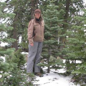 Stalking the Wild Christmas Tree Image